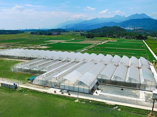 Dự Án Vineco Tam Đảo- Vĩnh Phúc – Tập Đoàn Vingroup