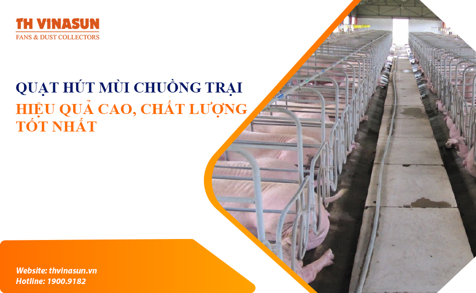 Quạt hút mùi chuồng trại: Hiệu quả cao, chất lượng tốt nhất