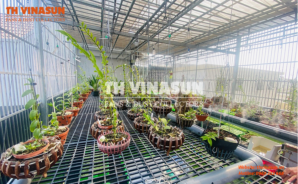 quat-thong-gio-cho-vuon-lan quạt thông gió cho vườn lan